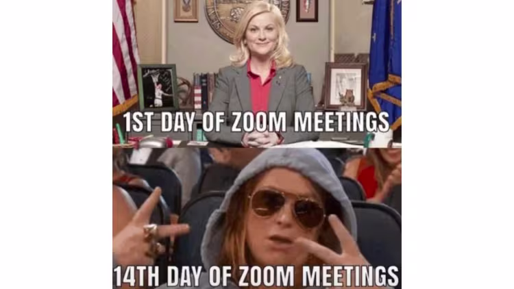 ZM3